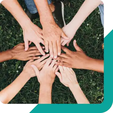 Consultation and Access